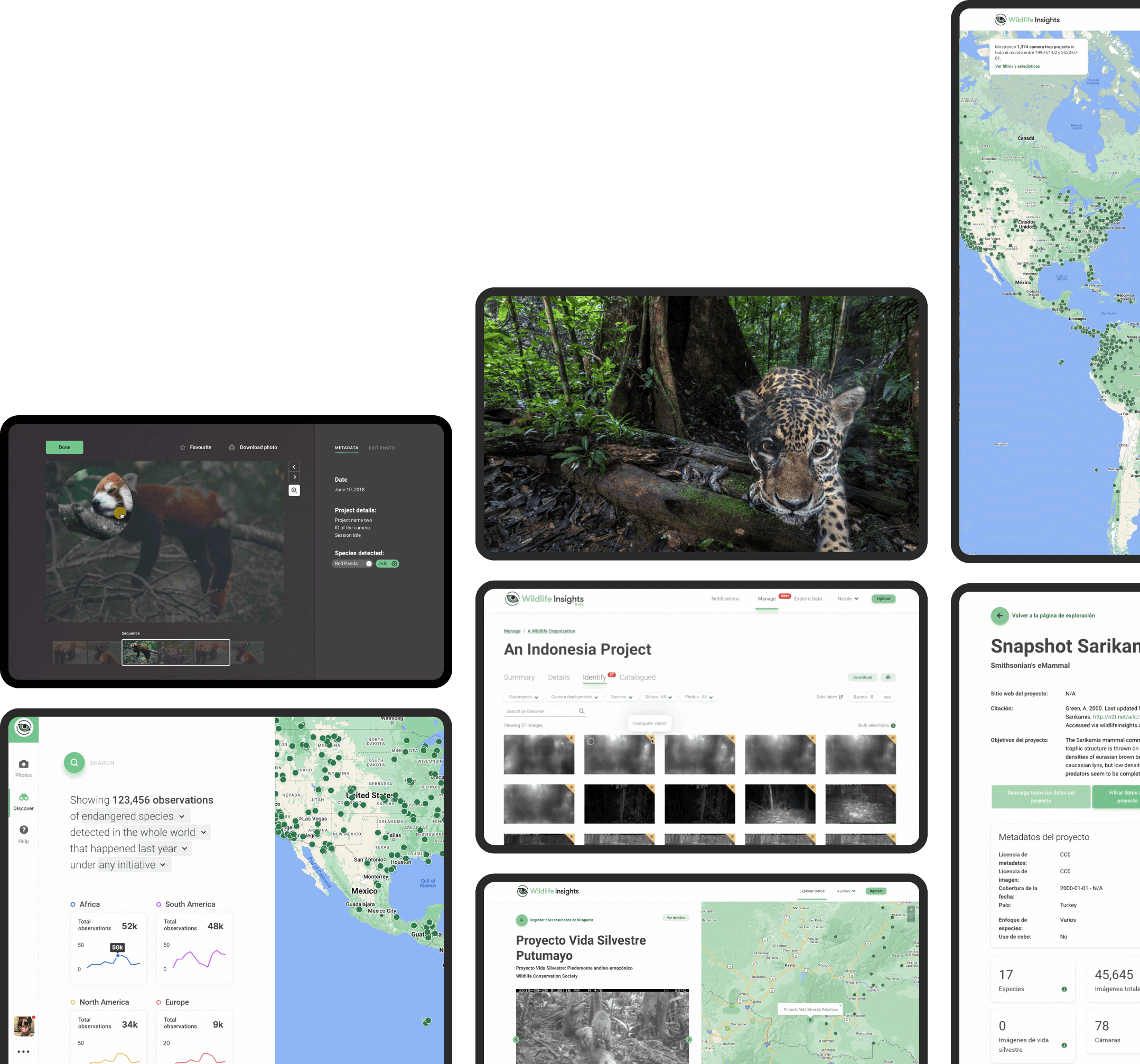Cymbiosys analytics platform dashboard showing wildlife data