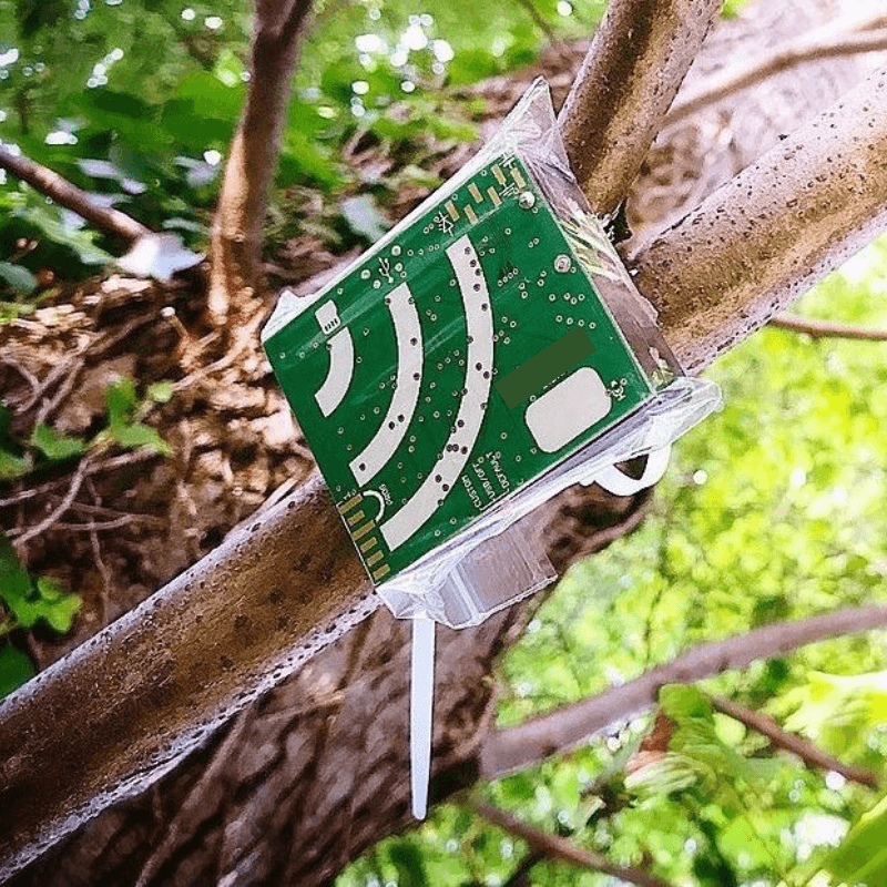 Cymbiosys IoT wildlife monitoring device in forest setting
